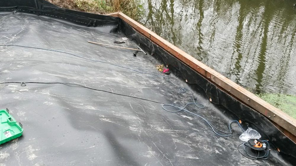 Bestrijding van de duizendknoop, Wageningen
