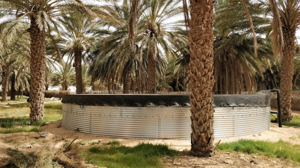 Wateropslag bij dadelkwekerijen, Tunesië