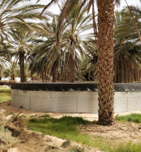 Wateropslag bij dadelkwekerijen, Tunesië