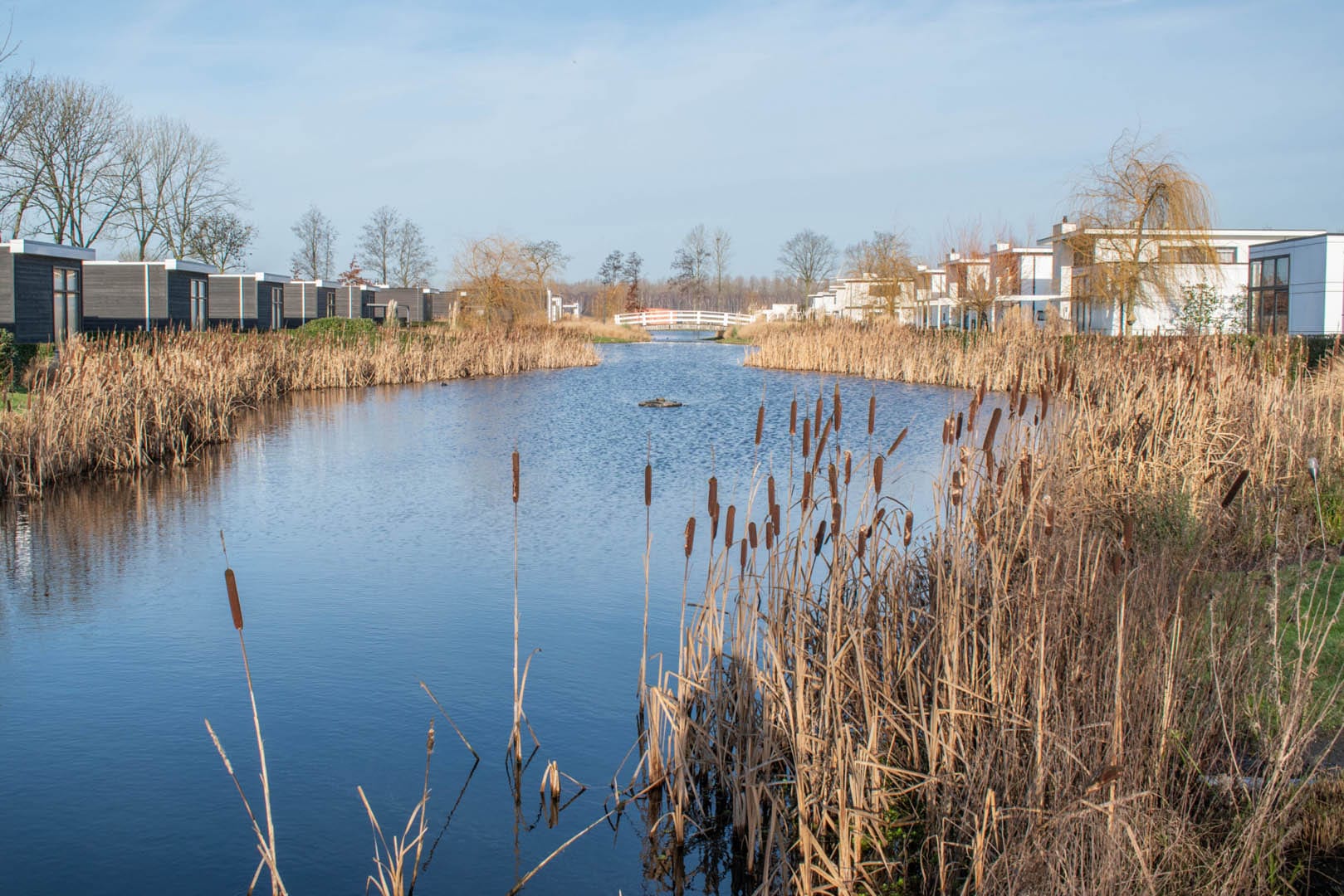 Membrane d’étang au parc de vacances de Nijkerk (Pays-Bas)