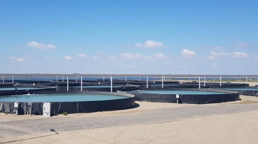 Fish farming, Azerbaijan