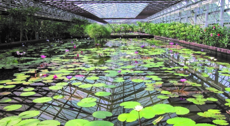 Water storage for a bird an flower park, Japan