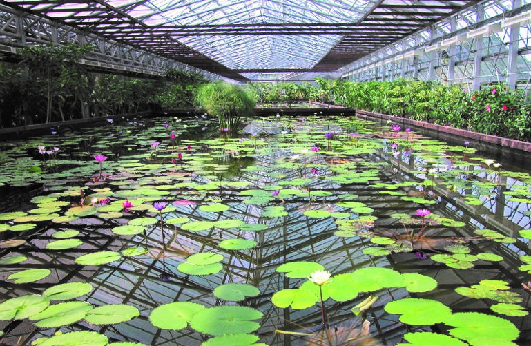 Water storage for a bird an flower park, Japan