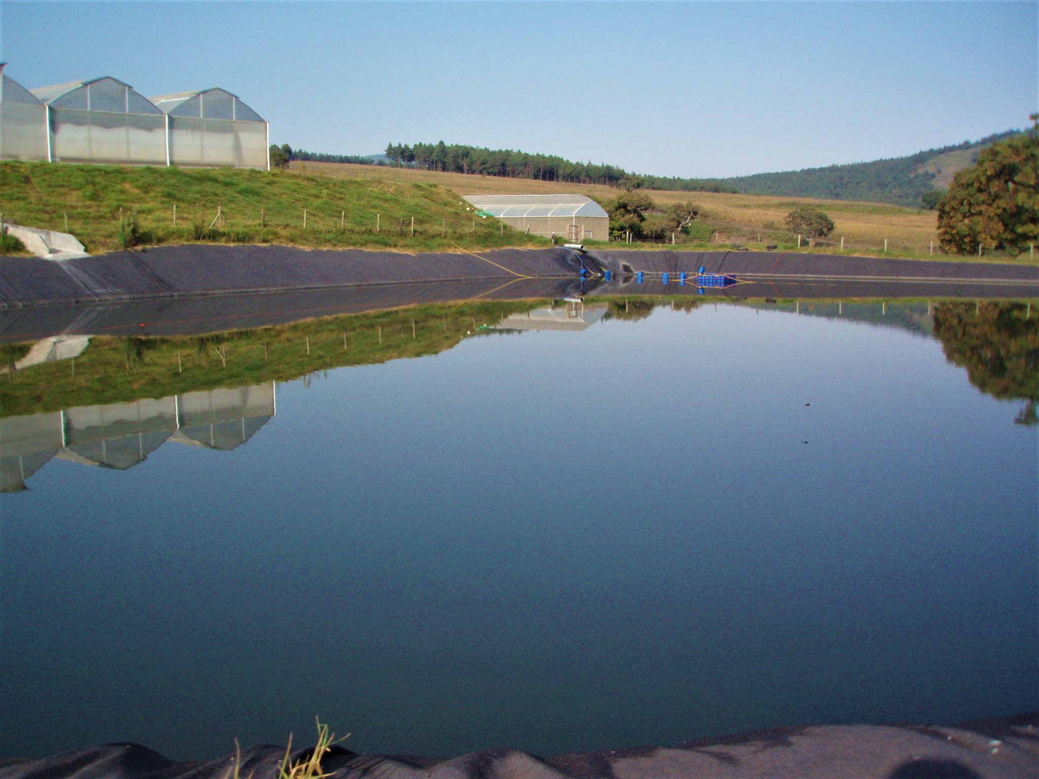 Excavated basins at breeding company, Tanzania