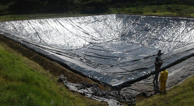 Excavated basins at breeding company, Tanzania