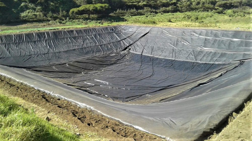 Excavated basins at breeding company, Tanzania