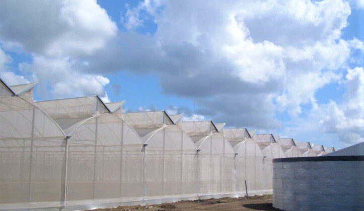 Water tank at tomato nursery, Dominican Republic