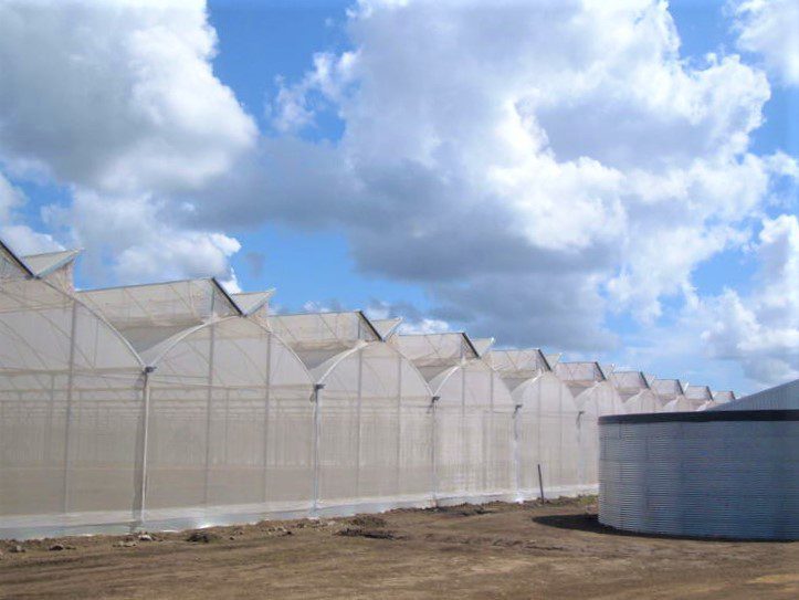 Water tank at tomato nursery, Dominican Republic