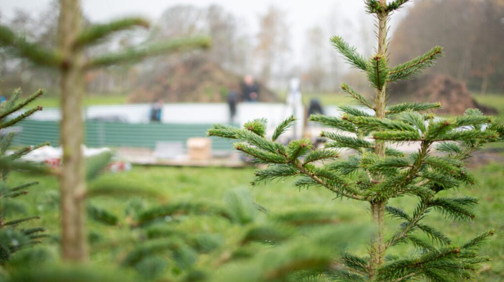 Installing a water tank at a local Christmas tree nursery, the Netherlands