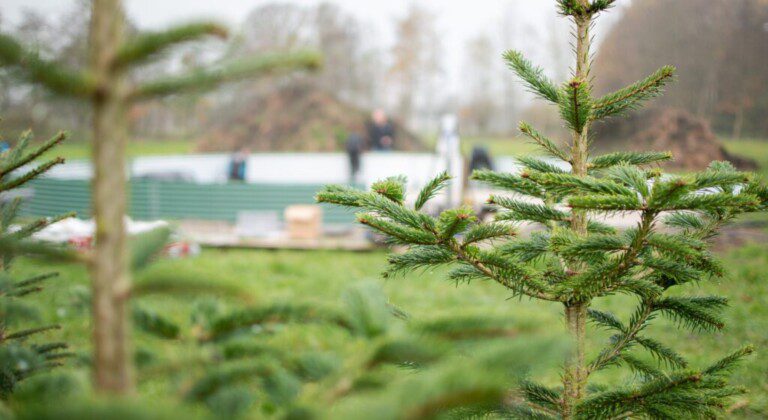 Installing a water tank at a local Christmas tree nursery, the Netherlands