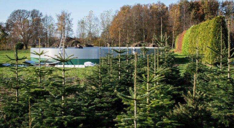 Installing a water tank at a local Christmas tree nursery, the Netherlands