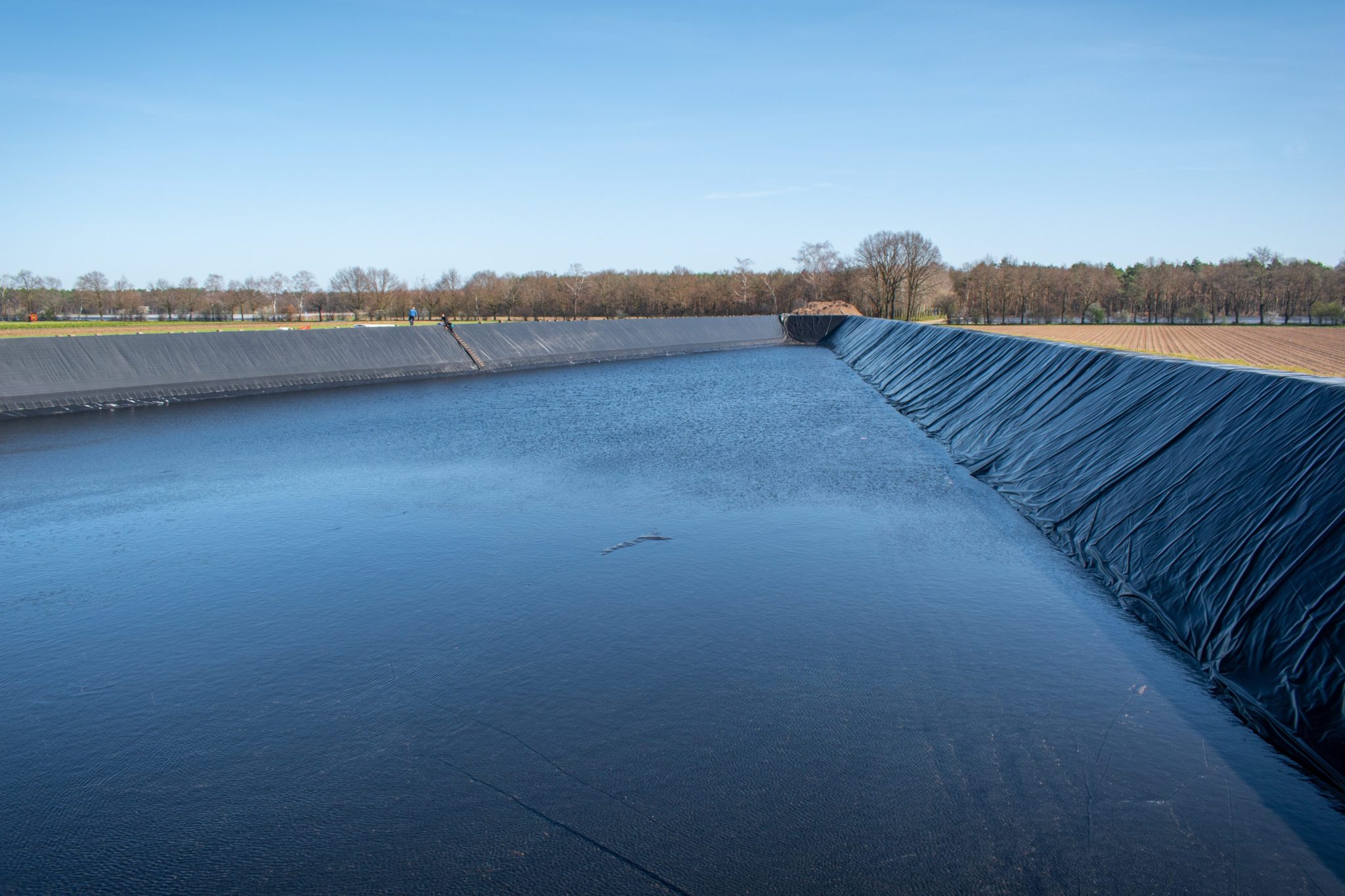 Excavated basins for blueberry growers, the Netherlands