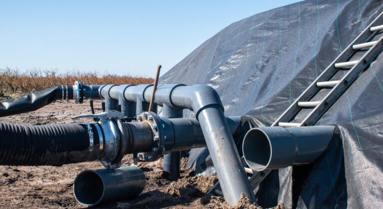 Excavated basins for blueberry growers, the Netherlands