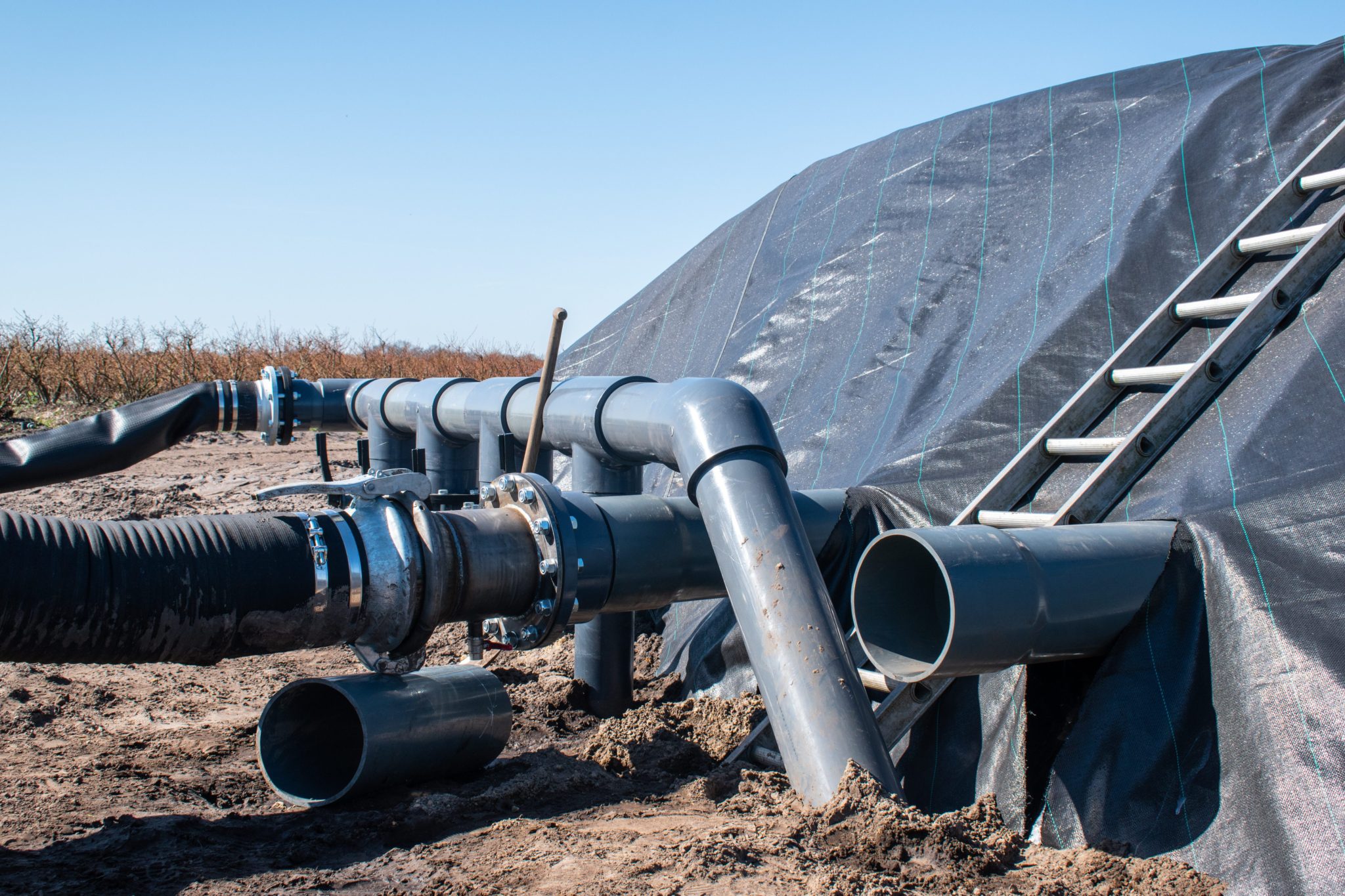 Excavated basins for blueberry growers, the Netherlands