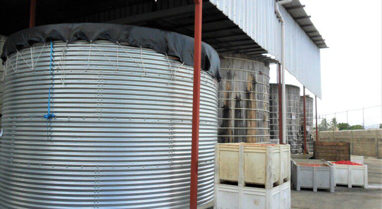 Water tank at tomato nursery, Dominican Republic