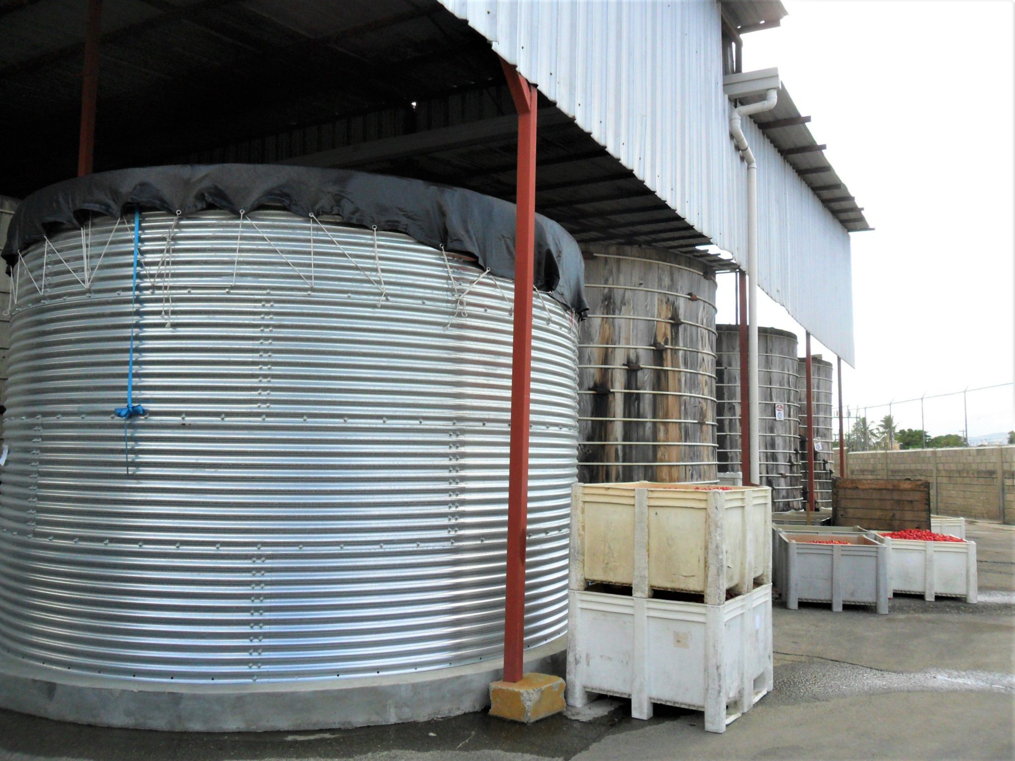 Water tank at tomato nursery, Dominican Republic