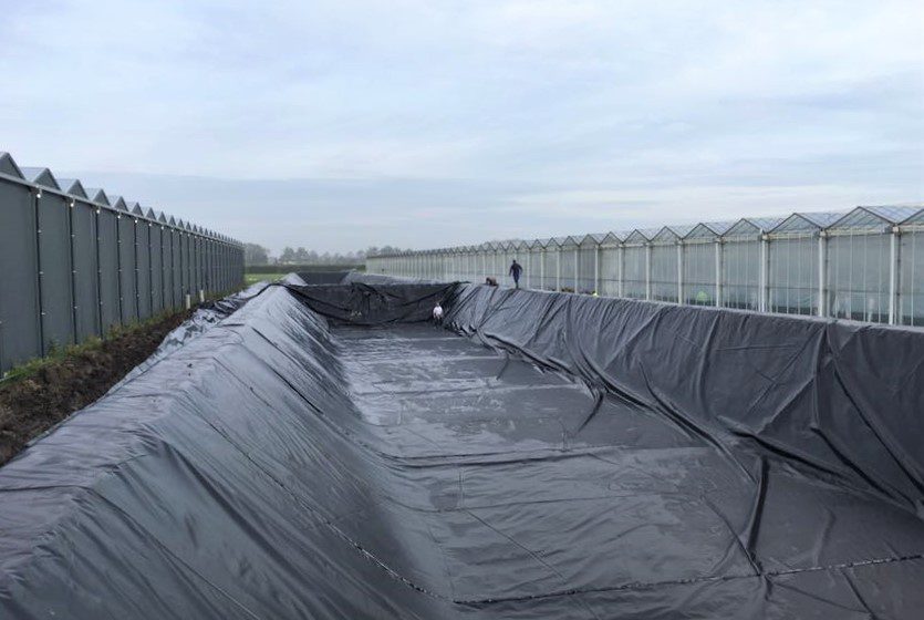 Two water basins at a bulb farm, the Netherlands