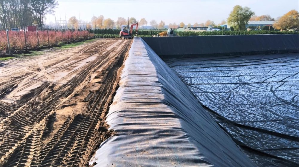 Excavated basins for blueberry growers, the Netherlands