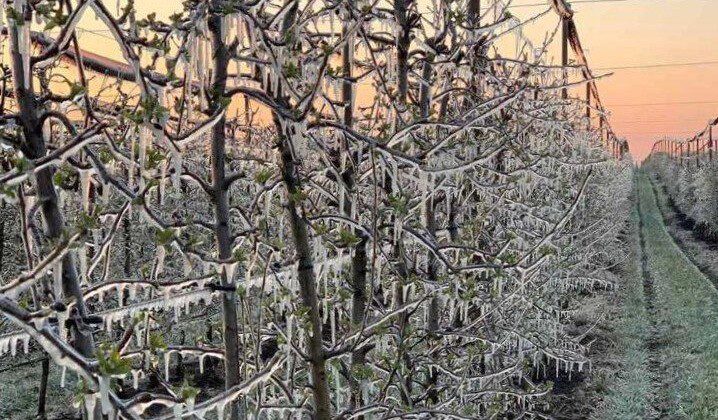 water storage solutions for frost protection