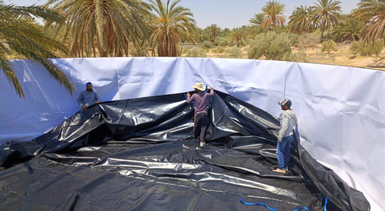 Water storage for date farms, Tunisia