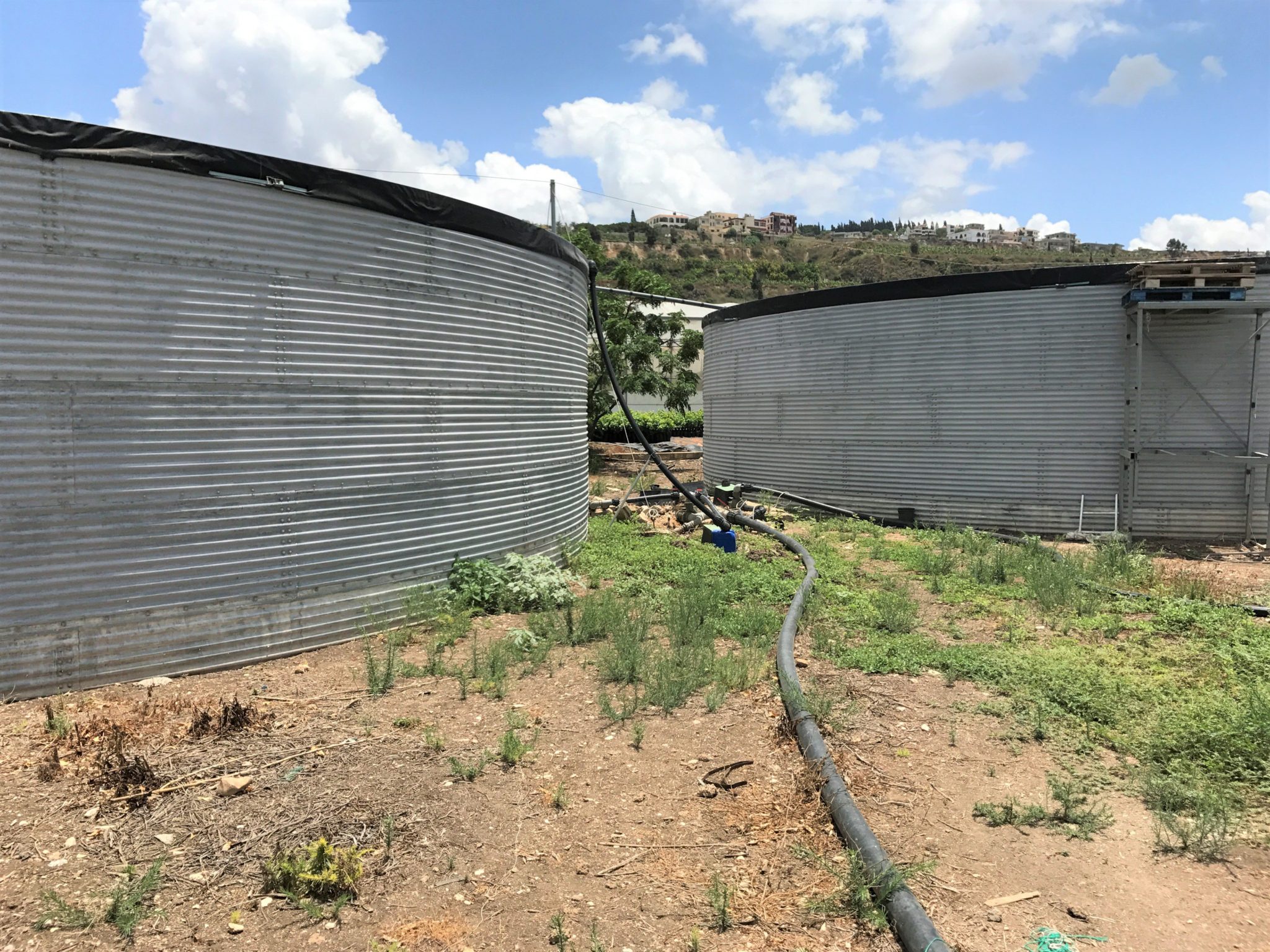 Irrigation for vegetables, Lebanon