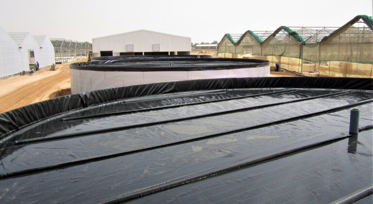Six water tanks for a brandnew greenhouse complex, Saudi Arabia