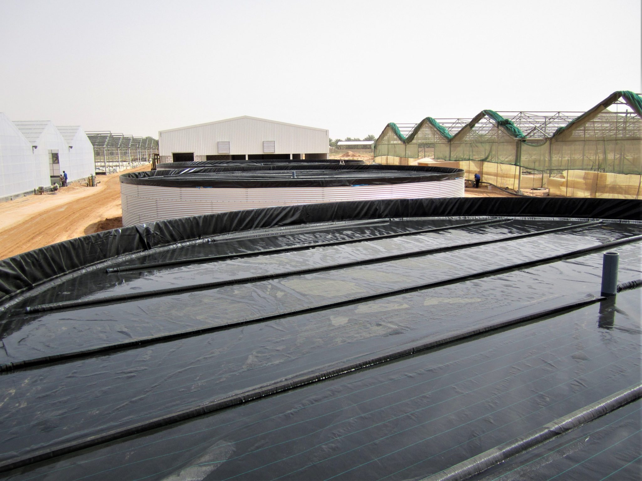 Six water tanks for a brandnew greenhouse complex, Saudi Arabia