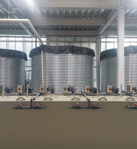 Water storage tanks at Horti Innovation Park, China