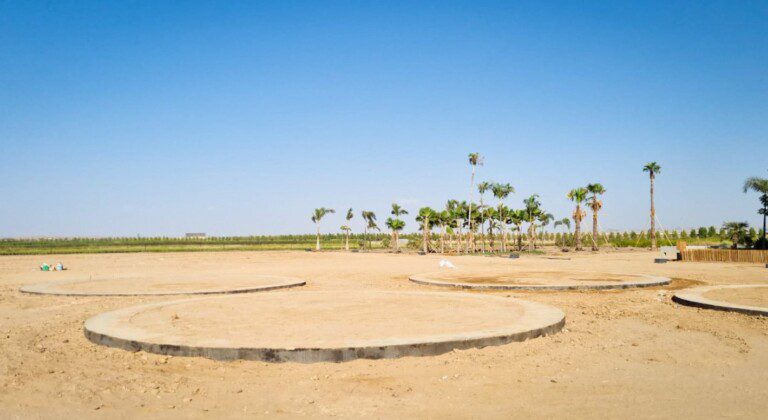 10 tanks for growing water lilies, Saudi Arabia
