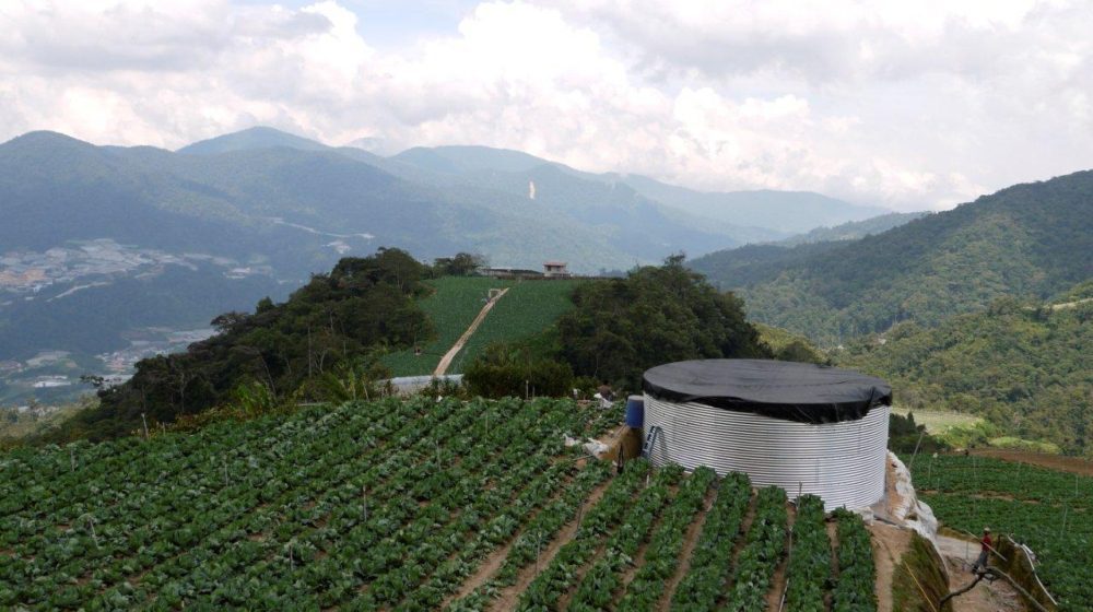 Irrigation water