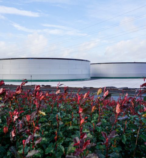 Water tanks at nursery, the Netherlands