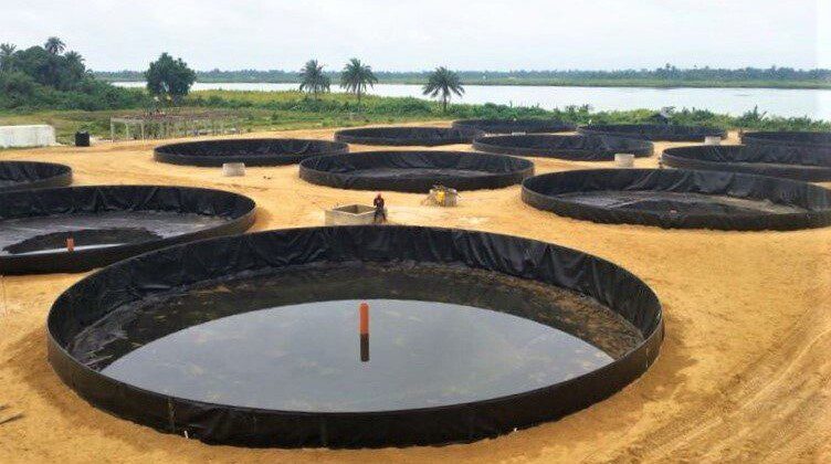 High quality water storage solutions