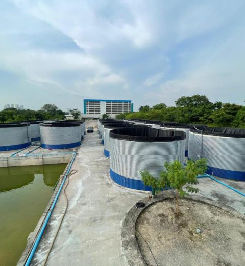Water tanks for fish farming, Singapore