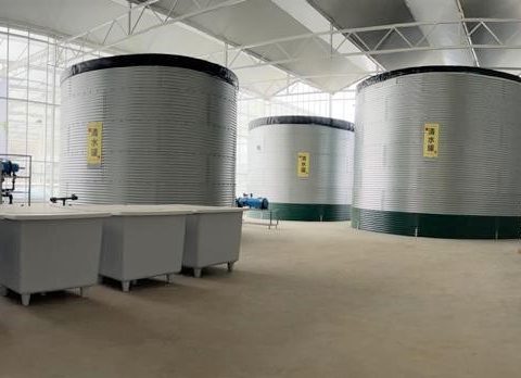 Three water tanks for tomatoes, China