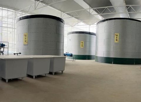 Three water tanks for tomatoes, China