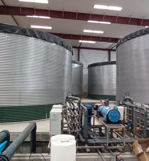 13 water tanks at a tomato greenhouse, China