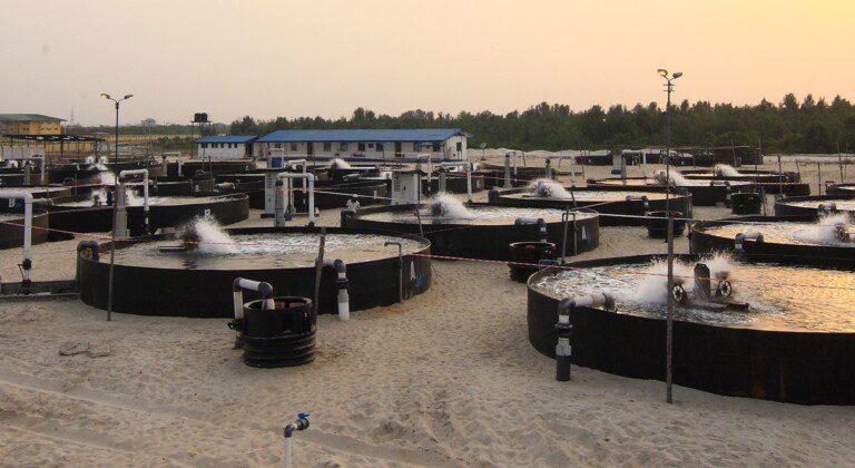 High quality water storage solutions