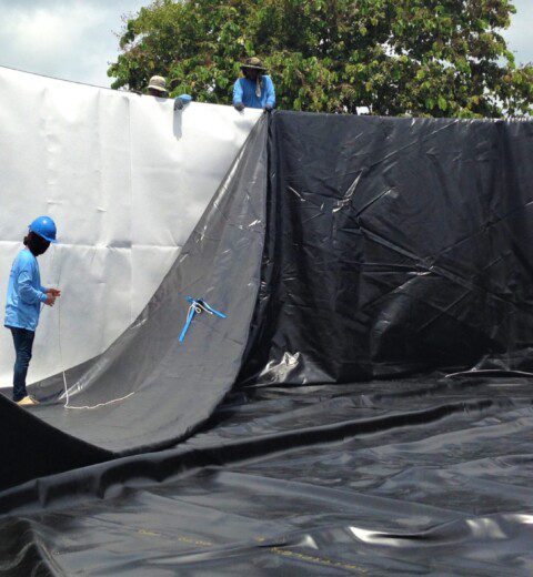 Chlorine resistant and food secure ENPEX CPL