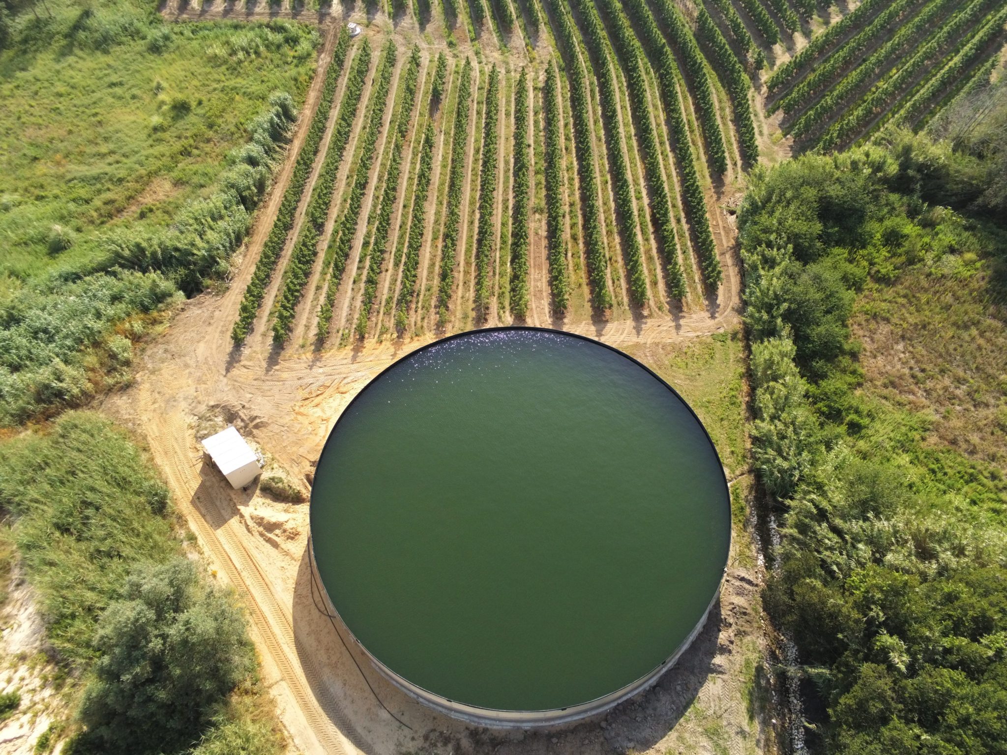 Storage of surface water for pears, Portugal