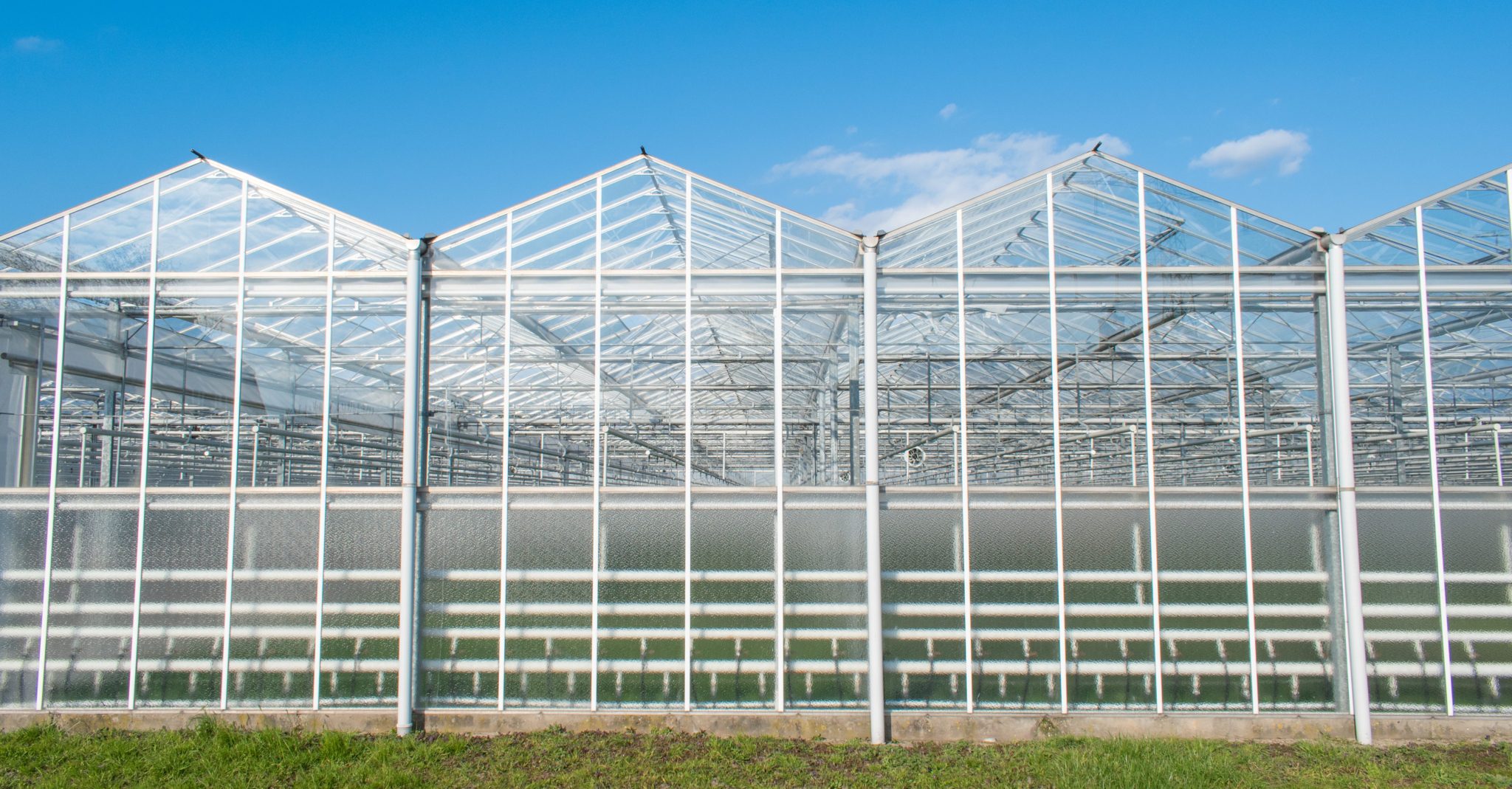 Rainwater harvesting and storage