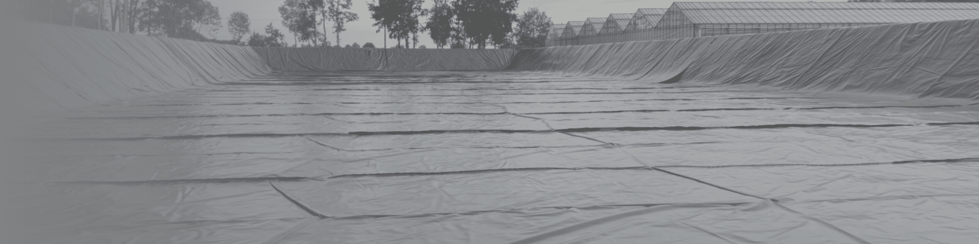 Header