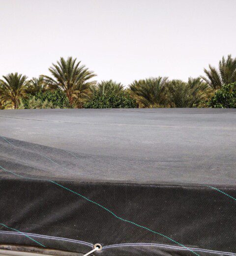 Anti-algae covers in autumn