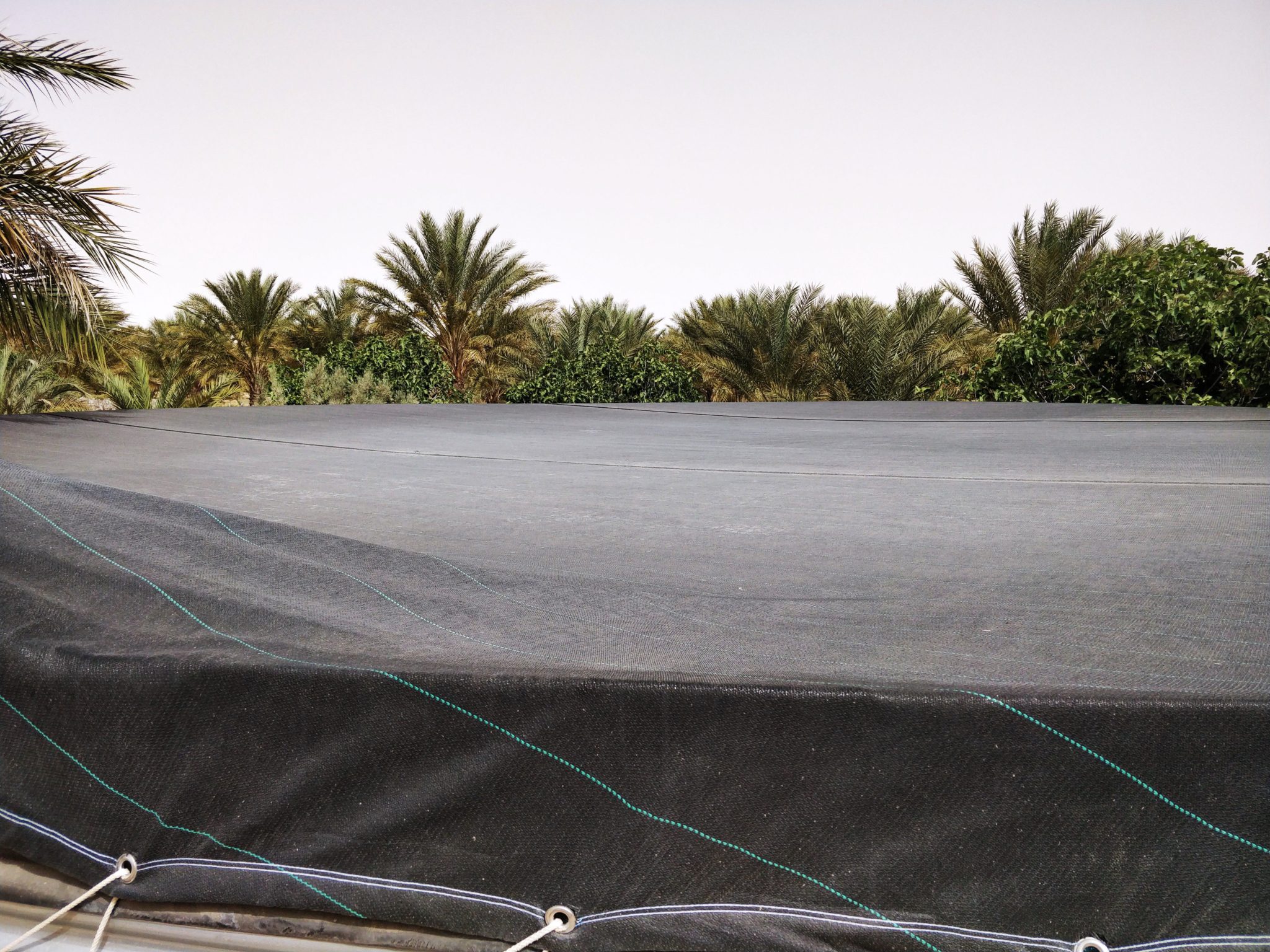 Anti-algae covers in autumn