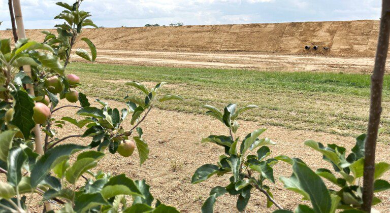 water basin for an apple orchard