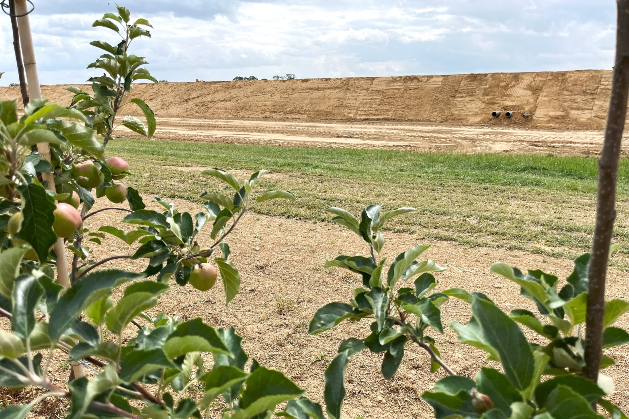 water basin for an apple orchard