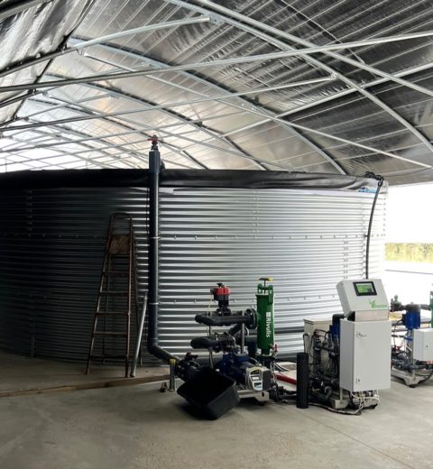 Water storage for small-scale tomato cultivation, Bulgaria