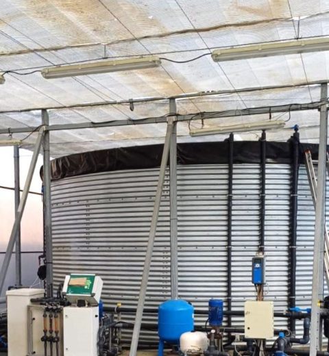 Water storage for cucumbers, Bulgaria