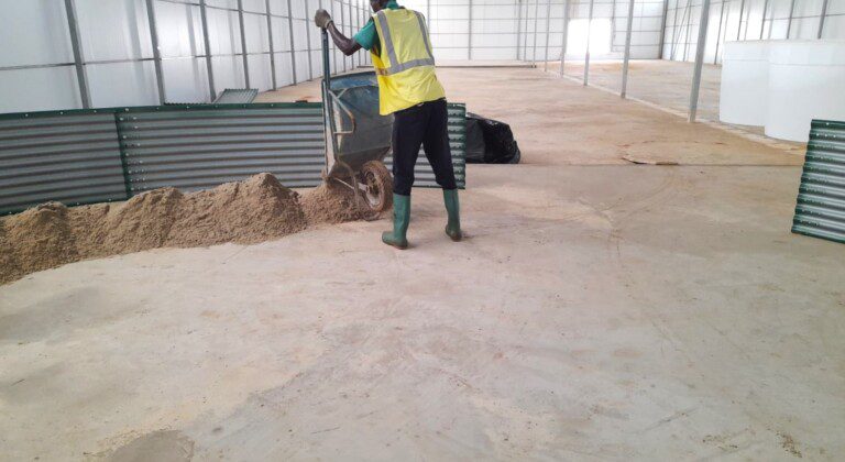 Water storage for lettuce and tomatoes, Benin